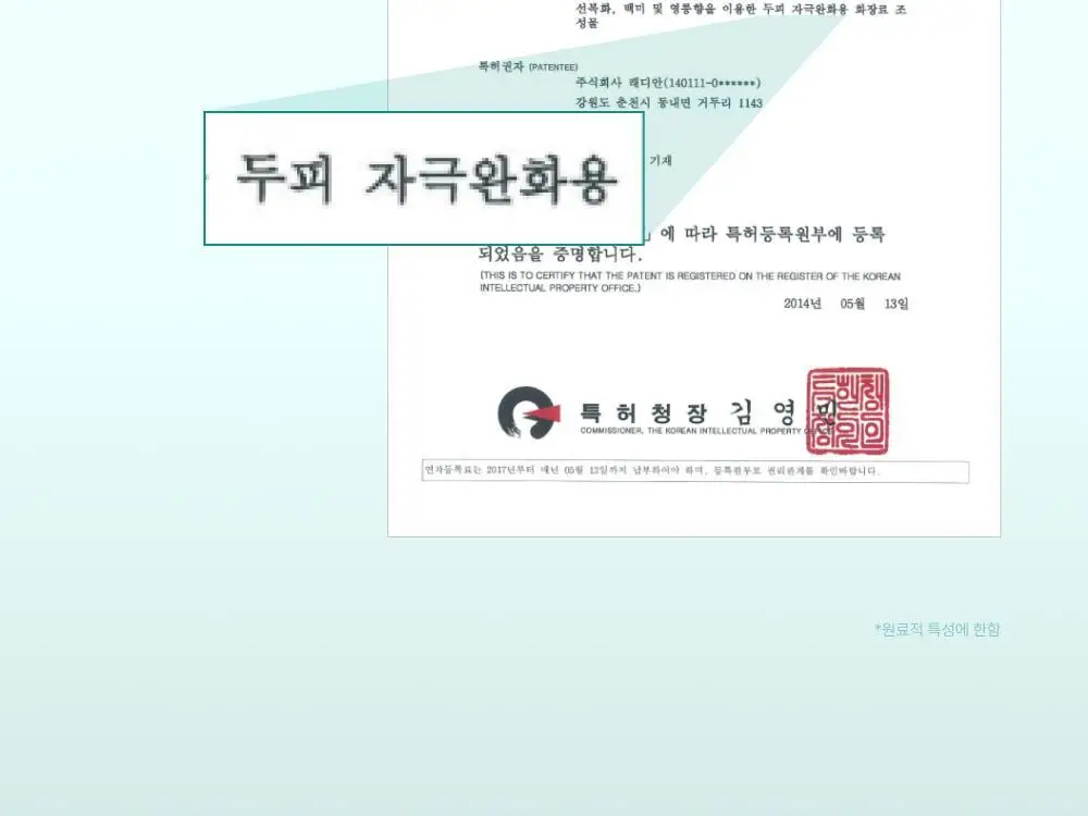 [포켓몬 에디션][비듬/각질케어]릴리이브 스칼프턴 시카 PDRN 브러쉬 앰플 100ml 2종 택1 상세페이지 27